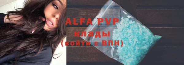 шишки Армянск