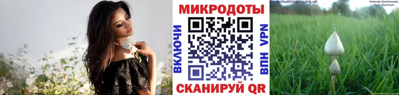 Купить  Южа  Псилоцибиновые грибы MAGIC MUSHROOMS 