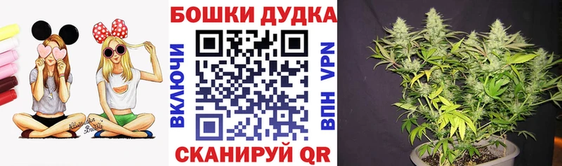 Купить закладки  Южа  Бошки Шишки Amnesia 